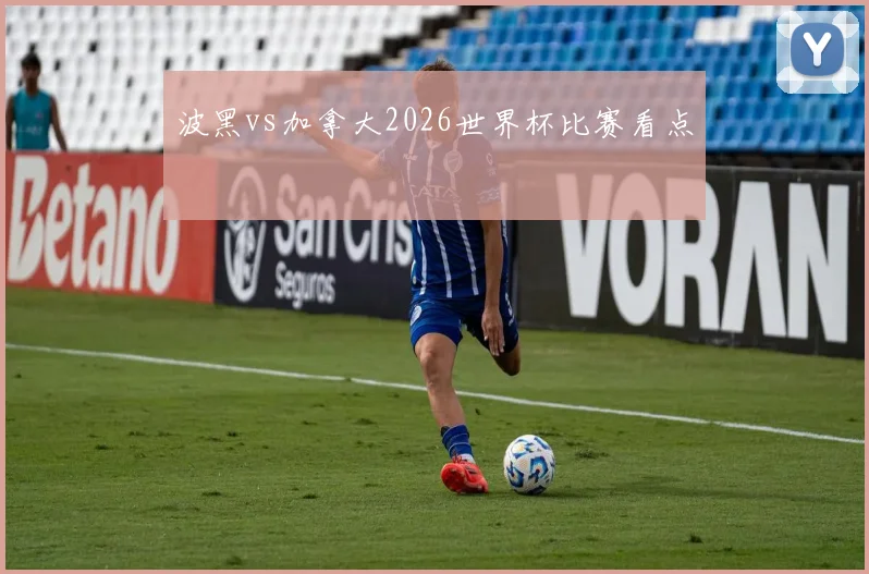 波黑vs加拿大2026世界杯比赛看点