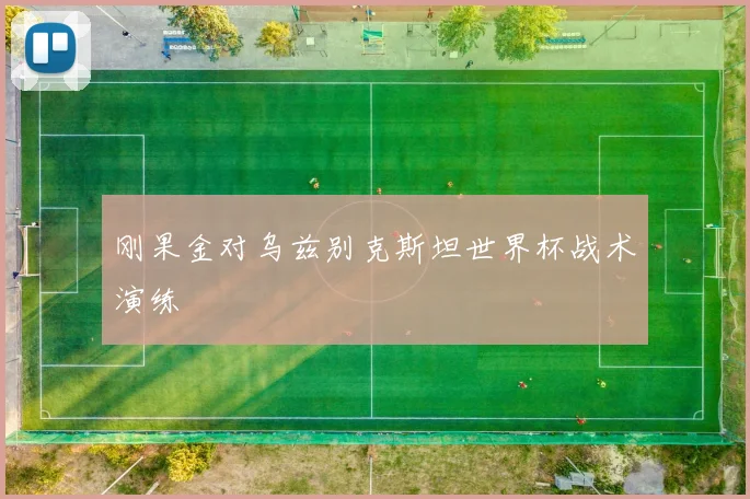 刚果金对乌兹别克斯坦世界杯战术演练