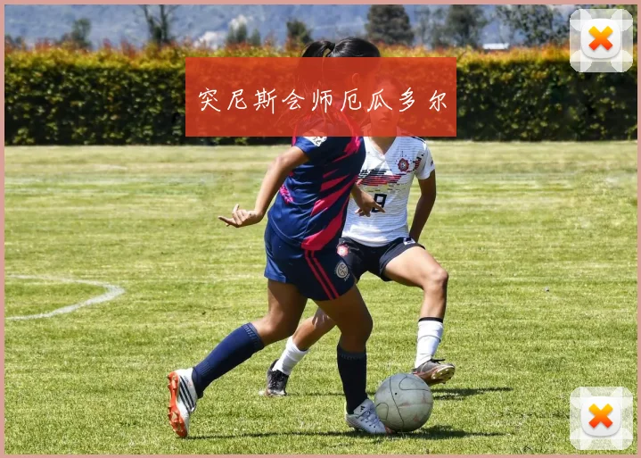 突尼斯会师厄瓜多尔
