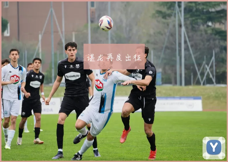 谌龙再度出征