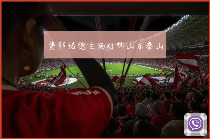 费耶诺德主场对阵山东泰山