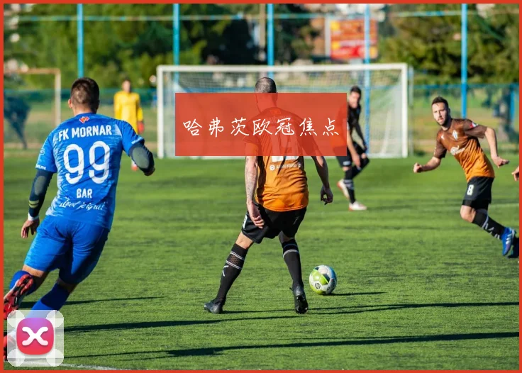 哈弗茨欧冠焦点