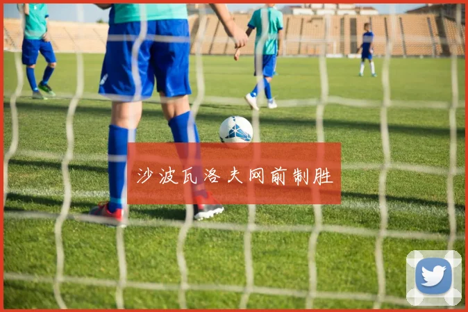 沙波瓦洛夫网前制胜