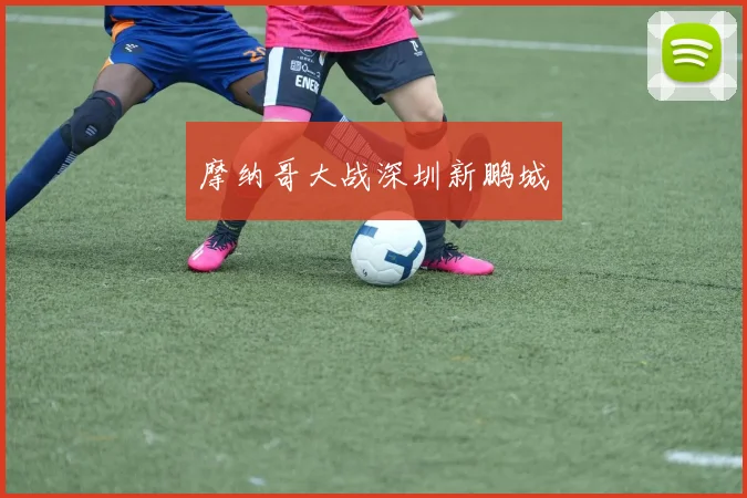 摩纳哥大战深圳新鹏城
