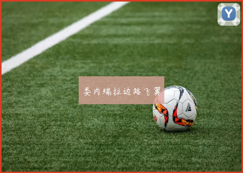 委内瑞拉边路飞翼