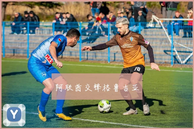 阿联酋交锋格鲁吉亚