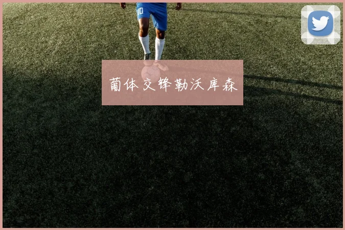 葡体交锋勒沃库森