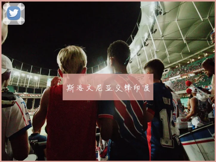 斯洛文尼亚交锋印度