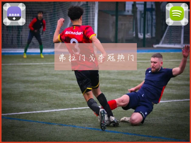 弗拉门戈夺冠热门