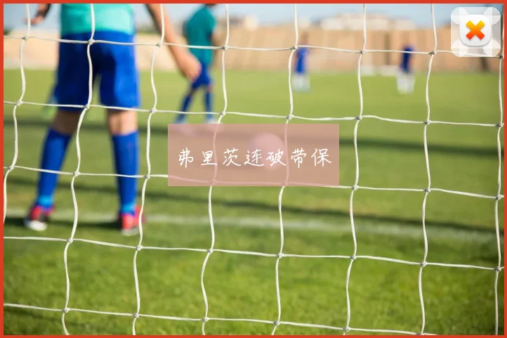 弗里茨连破带保
