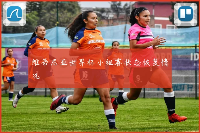 维蒂尼亚世界杯小组赛状态恢复情况