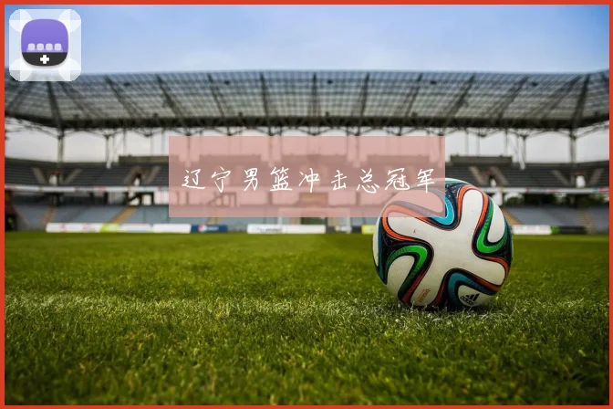 辽宁男篮冲击总冠军