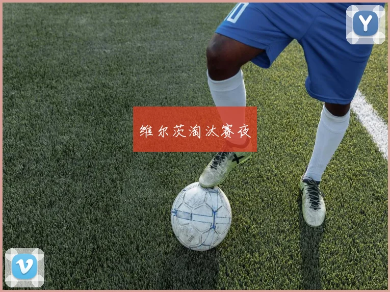维尔茨淘汰赛夜