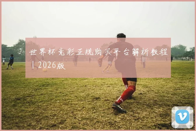 世界杯竞彩正规购买平台解析教程｜2026版