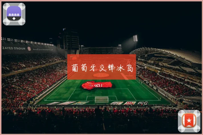 葡萄牙交锋冰岛