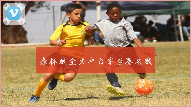 森林狼全力冲击季后赛名额
