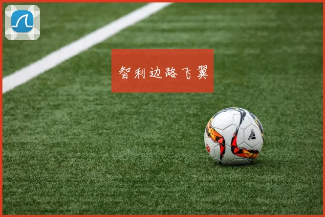 智利边路飞翼