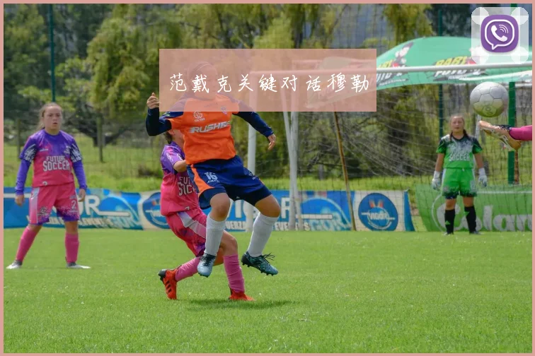 范戴克关键对话穆勒