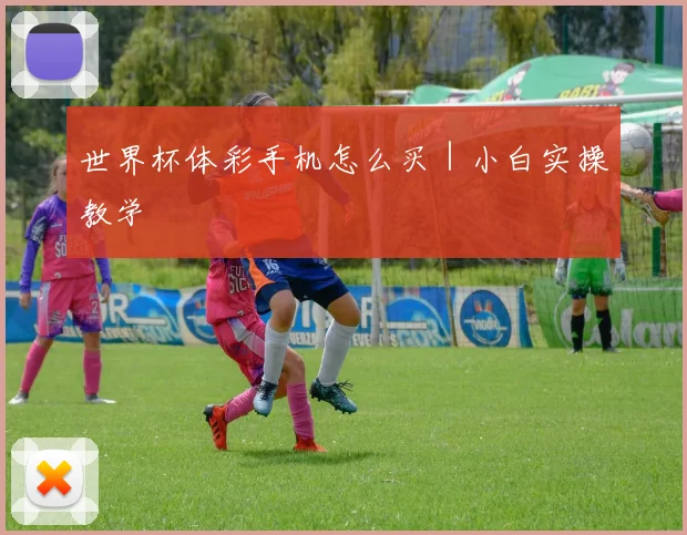 世界杯体彩手机怎么买｜小白实操教学