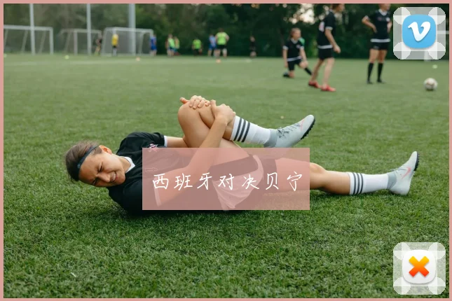 西班牙对决贝宁