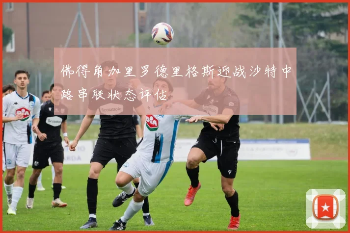 佛得角加里罗德里格斯迎战沙特中路串联状态评估